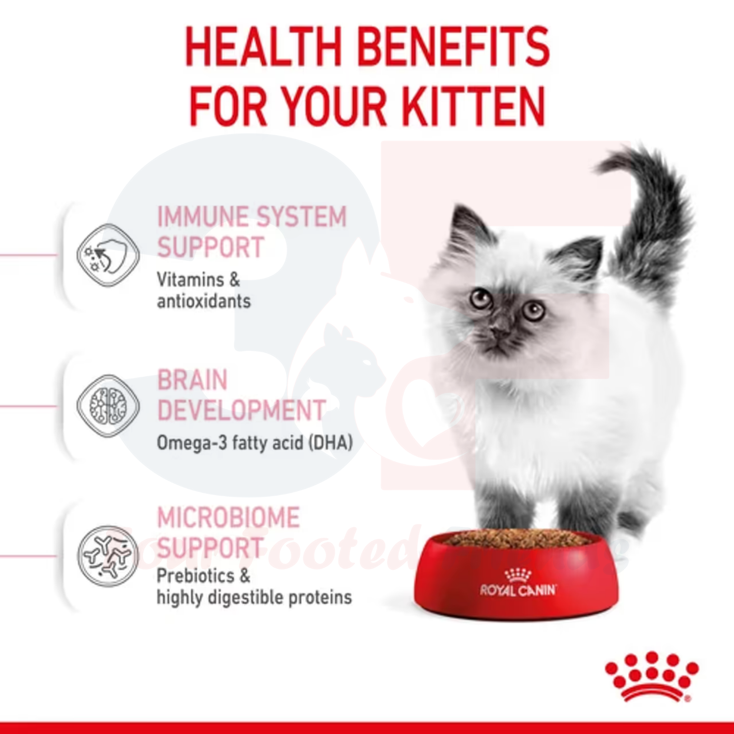 Thức Ăn Hạt Cho Mèo Con Royal Canin Kitten 36 - 10KG